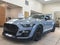 2022 Ford Mustang Shelby GT500